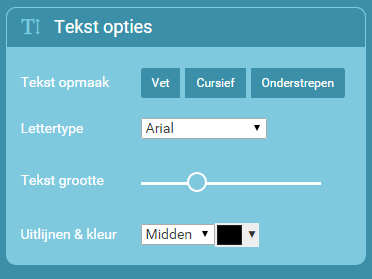 tekstopties.png#asset:329:url